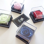 LUXURY BOX “jewel ROSE” クリアキューブ入りのカラフルローズ 