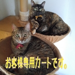1828mapleさん専用カート猫好きさんシリーズ
