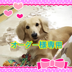 sayaka-03141様、オーダー様専用