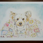 【nahokubo様オーダー品】愛犬イラスト