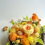 母の日配送OK!　とりのおうち　イエロー＆オレンジ