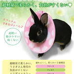 エリザベスカラー　うさぎ用 （LLサイズ）首周り（約）19～21cm