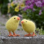 ひよこ