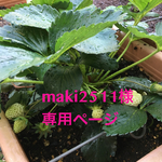 maki2511様専用ページ ダッフィサロペット