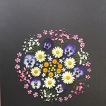 押し花  特別オーダー品 NO.614