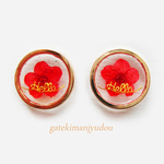 ドライフラワーを閉じ込めた樹脂ピアス/レッド