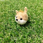 ころわんこ【柴犬】