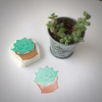 多肉植物の消しゴムはんこ
