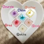 カラフル❁︎押し花ピアス/イヤリング