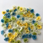 かすみ草100個入り ドライフラワー 数量限定セット 夏色