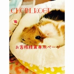 pou0521様✩専用ページ