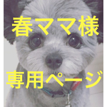春ママ様専用ページ