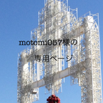 motomi057様専用ページ(アナベル風、紫陽花のネックレス)