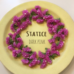 再６❤️スターチス    ドライフラワー