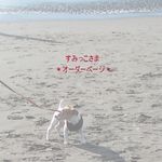 *すみっこさまオーダー*