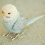 ペア用　オス　ウイング水色　1702051　セキセイインコ