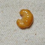 小さなパン屋さんピンズ(ミニクロワッサン)