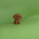 トイプードル レッド 羊毛フェルト