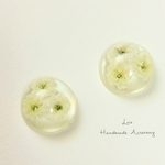 真っ白なかすみ草ピアス/イヤリング