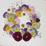 天然押し花素材  126