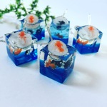 すくい上げ金魚すくい  ピアス//イヤリング