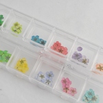 アクセサリーパーツ 小花 ドライフラワー 押し花　各5枚 12色セット　レジン　ネイル ケース入り [4582434321587]