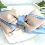 【送料込み】palmier❇2 colorリボンバレッタ         