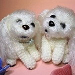 ペットをストラップに！(ひめちゃん、はるちゃん）
