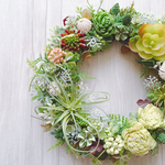 Succulent plants3 多肉植物のグリーンリース