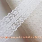 【送料無料】　No.5563　花柄の両山ラッセルレース　3M　オフホワイト
