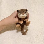 【cocomizu様ご予約品】カワウソの赤ちゃん