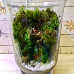 【苔テラリウム】0513t様専用オーダー苔むす森の動物たち