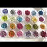  円形ケース付！/レインボー★ レースフラワー/限定1セット🌈24色240枚★(๑>◡<๑)/《2.5cm前後》🌼ハンドメイド(๑>◡<๑)/円形ケース付