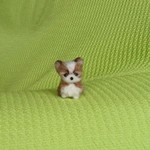 チワワ セーブル＆ホワイト パピー 羊毛フェルト