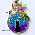 ＊流れ星と黒猫