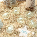 人魚姫のイヤリング★クリアな貝殻の夏ピアス/イヤリング