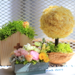クルミのもふもふトピアリーとミニプランター　3個セット　イエロー