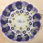 ♡sale♡¥1000→¥800 送料無料 押し花セット