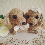 ❤ダックスのウエディング❤