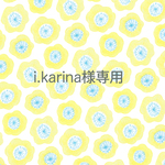 i.karina様専用ページ