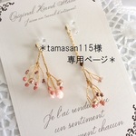 tamasan115様専用ページ【送料無料】❤️berry berryな秋の樹脂ノンホールピアス❤️