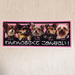 ペット玄関用横ステッカー(うるさくしてごめんなさい5匹)