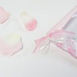 パステルリボンのクリアペンケース ピンク×白
