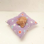 お昼寝にゃんこ