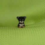 ちびちびチワワ ブラックタン パピー 羊毛フェルト