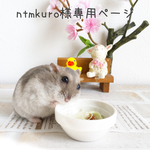 ntmkuro様専用ページ