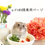 gift08様専用ページ