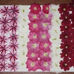 押し花商品【バーベナ　４色】