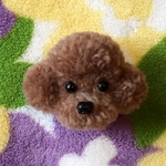 動物ぽんぽん　トイプードルブローチ　焦げ茶（小）