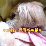 ＊特別ｵｰﾀﾞｰ xwdｻﾏ 専用ページ ＊